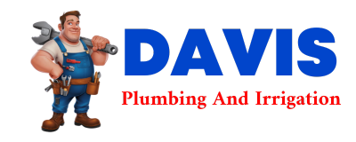 Trusted plumber in BRANDT